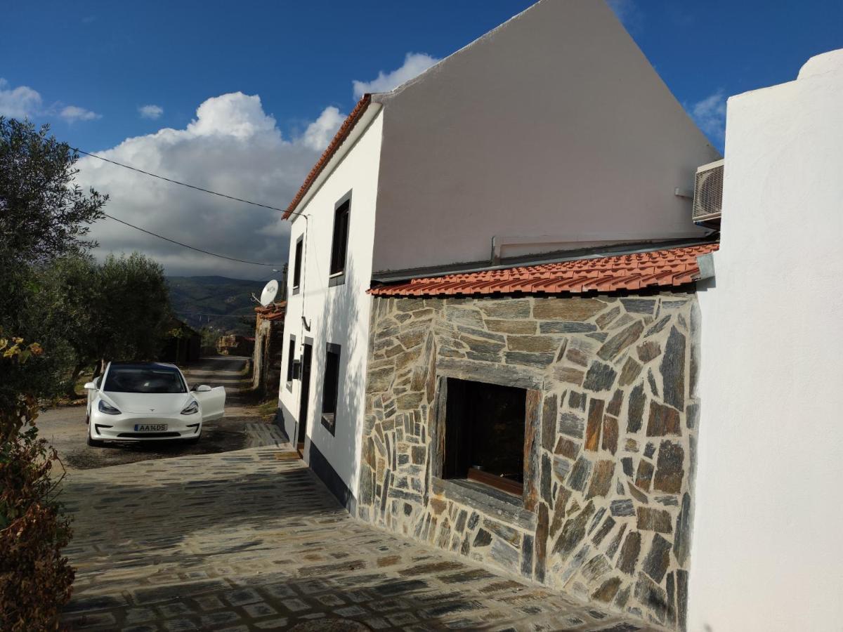 Pomar Das Oliveiras - Private Swimming Pool - Free Ev Chrg - Pet Friendly Carvalhal  エクステリア 写真