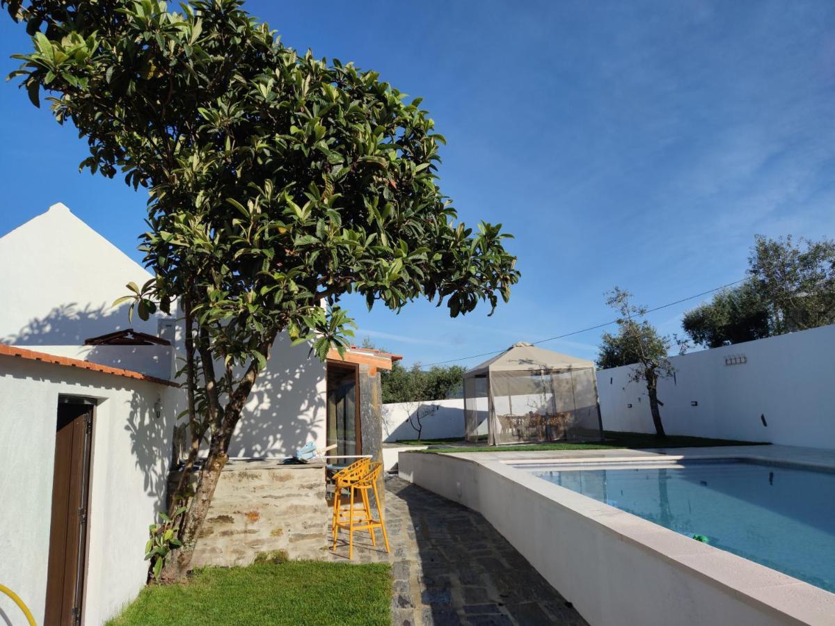 Pomar Das Oliveiras - Private Swimming Pool - Free Ev Chrg - Pet Friendly Carvalhal  エクステリア 写真