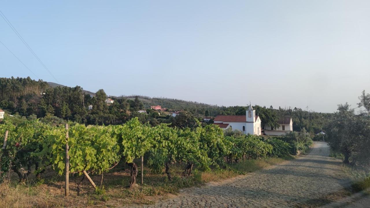 Pomar Das Oliveiras - Private Swimming Pool - Free Ev Chrg - Pet Friendly Carvalhal  エクステリア 写真