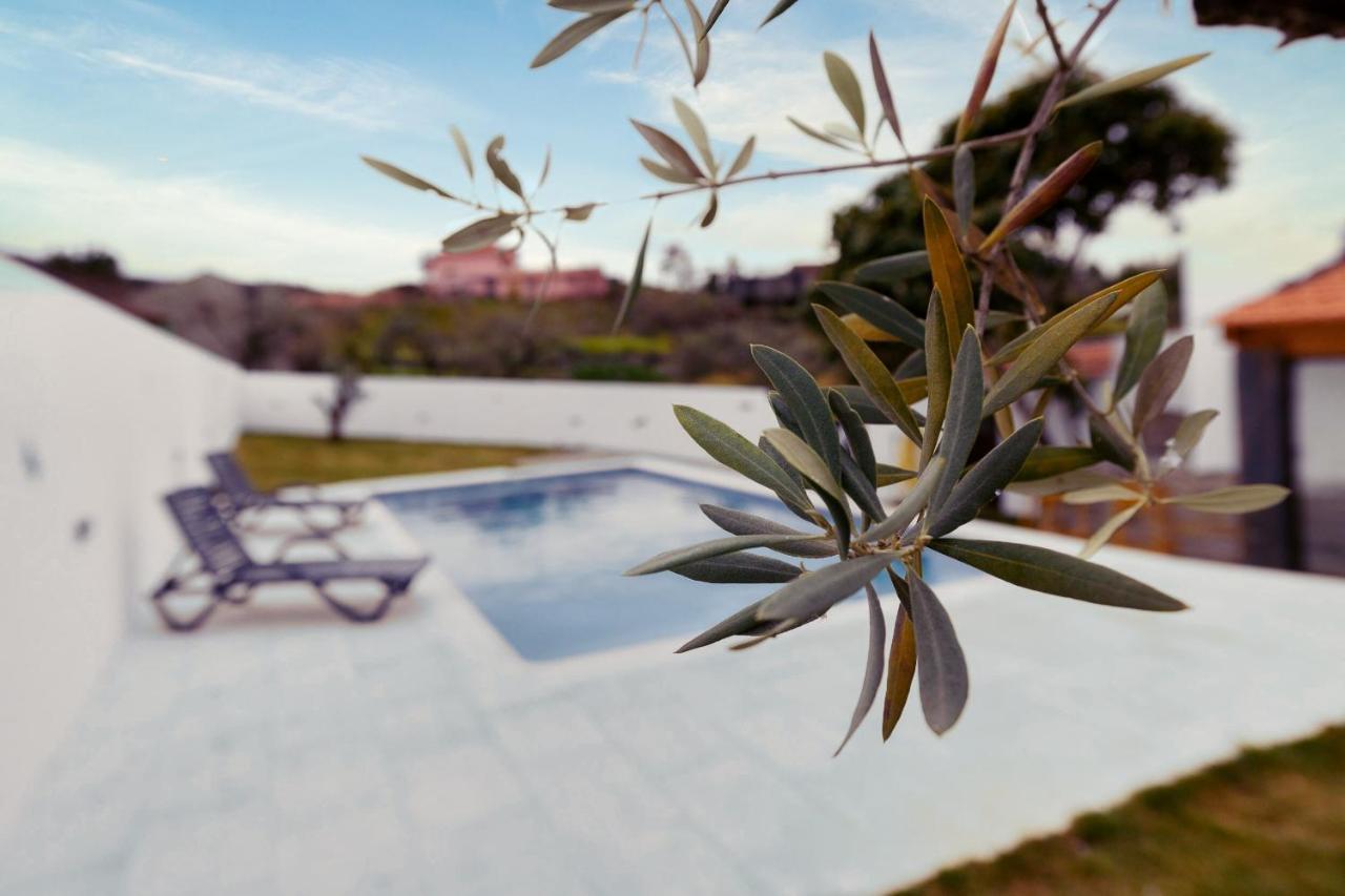 Pomar Das Oliveiras - Private Swimming Pool - Free Ev Chrg - Pet Friendly Carvalhal  エクステリア 写真